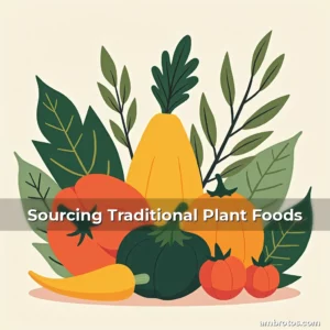 Artistic representation for Sourcing Traditional Plant Foods